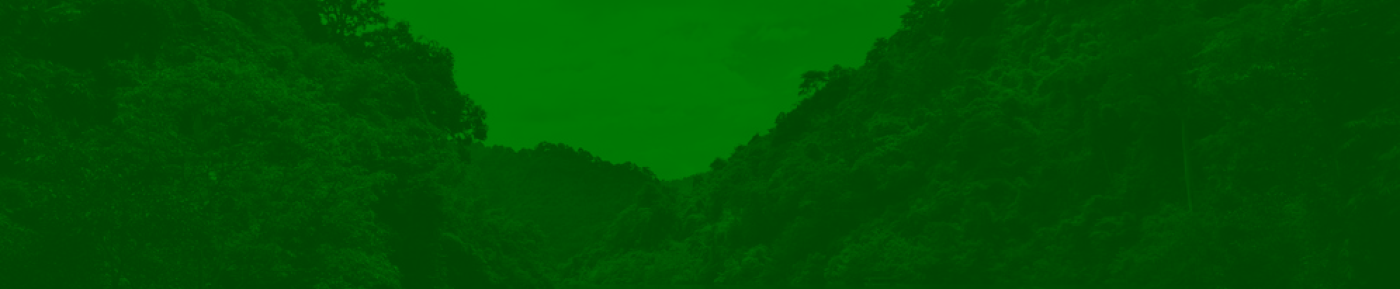 floresta